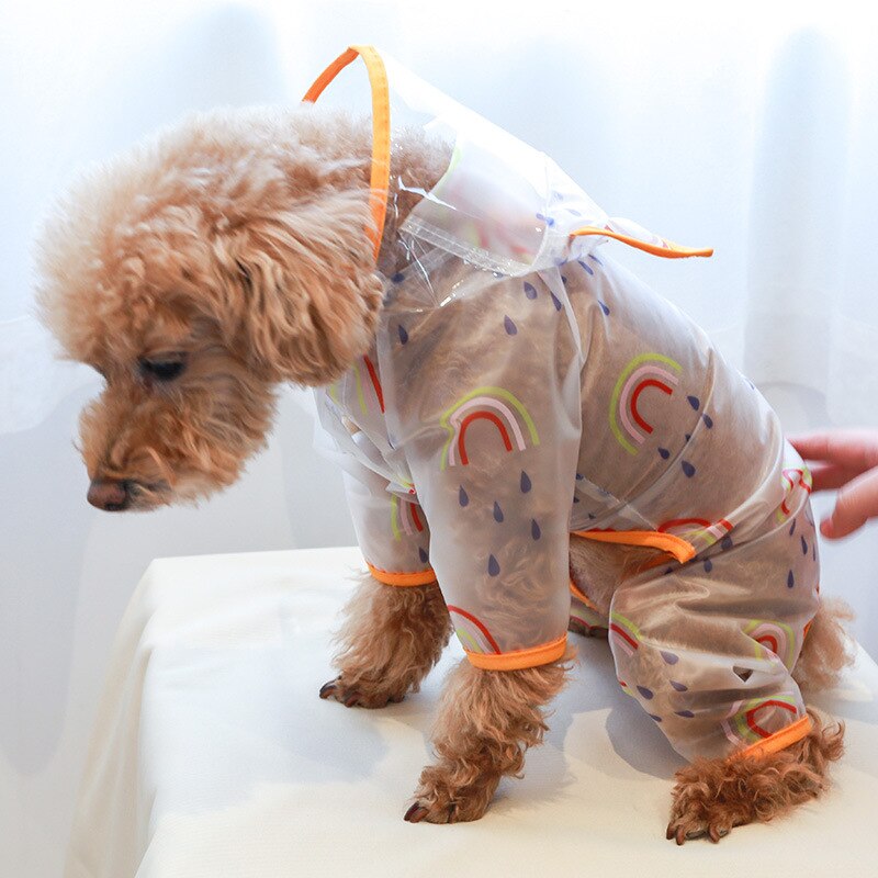 Dog Raincoat Transparent Waterproof Rainbow Rainwear Teddy Bear Small and Medium Raincoat for Dogs