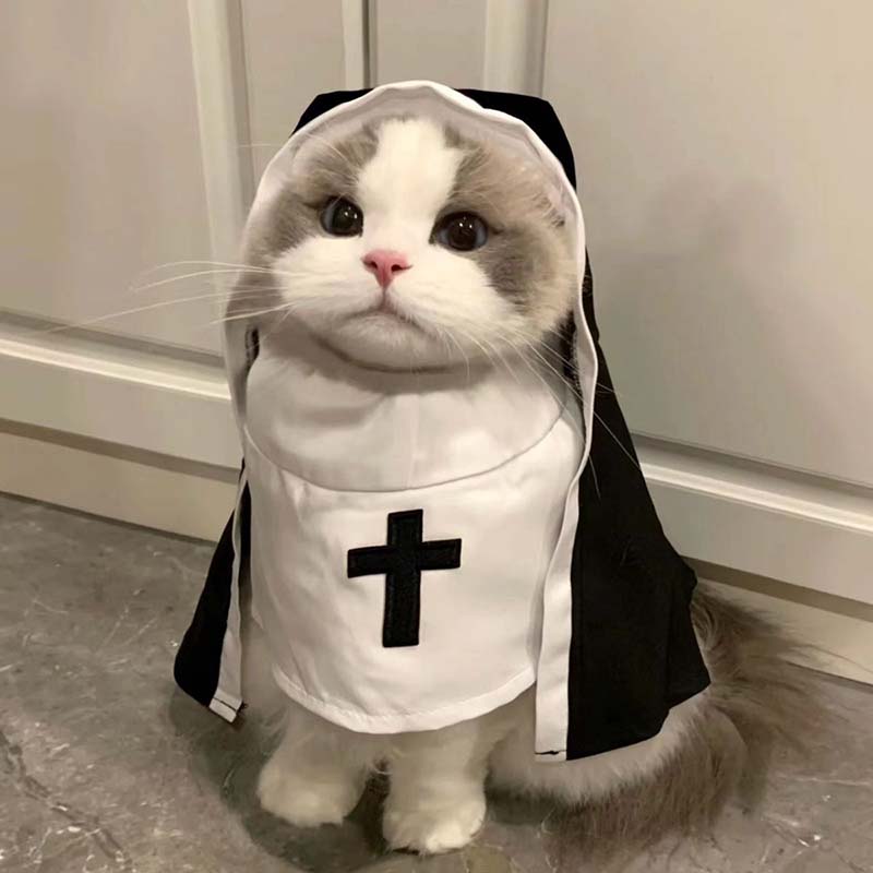 Disfraz de monja y gato, ropa para mascotas, ropa para perros pequeños, transpirable, divertido, , Festival, accesorios para fotos, accesorios para perros