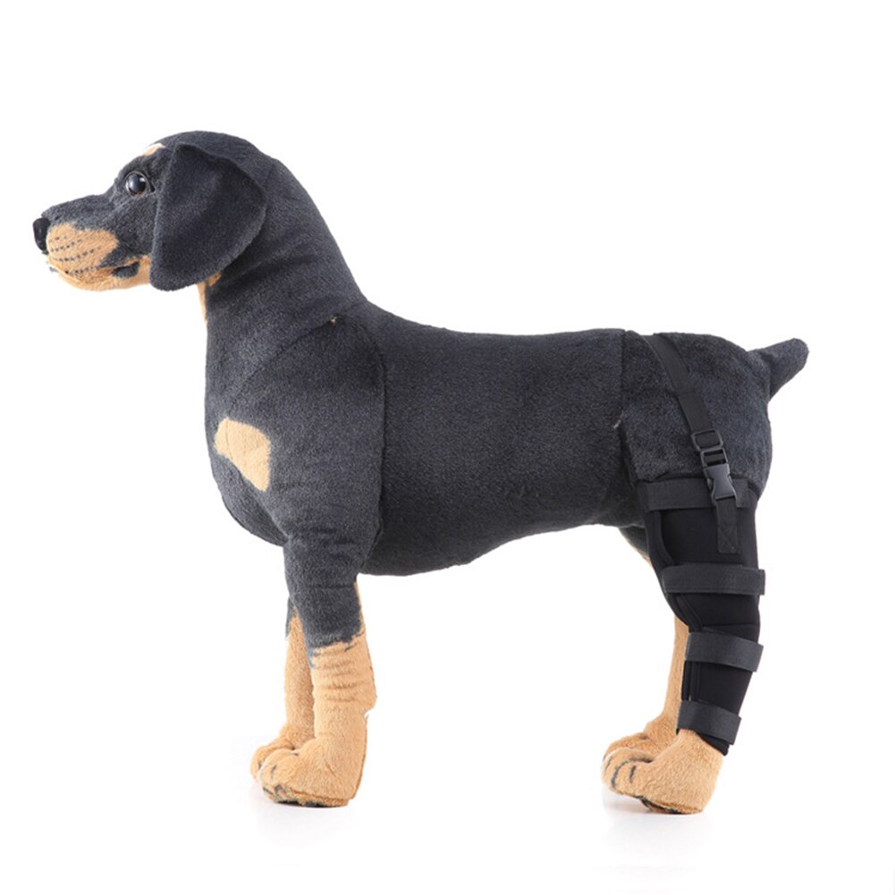 1pc Walking Pet Knee Pad Support Brace Joint Wrap Dog Wound Protector Hind Leg Injury Recover Hock Aid Tool Fixed Breathable