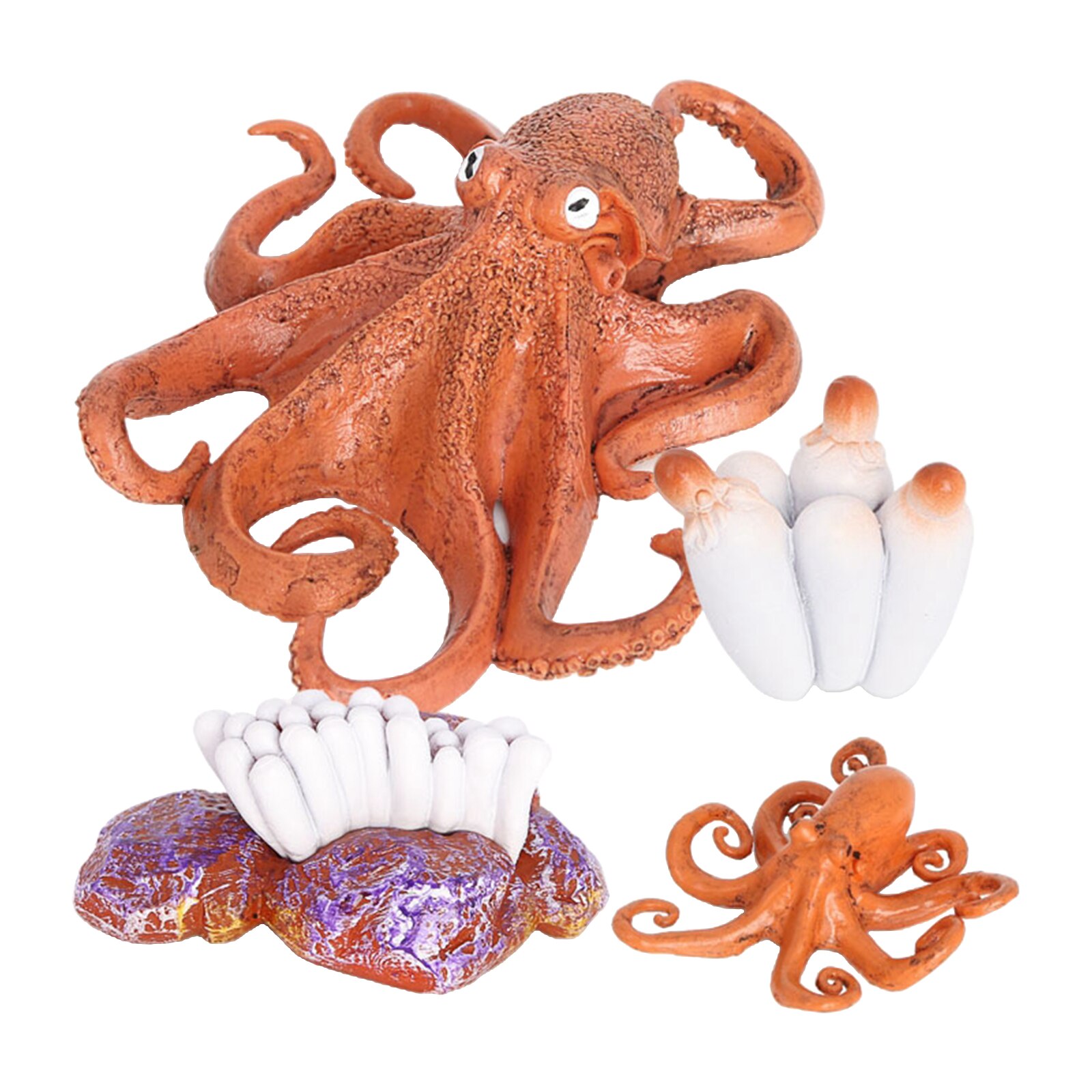 4 Stadia Levenscyclus Van Een Octopus, Insecten Plastic Octopus Speelgoed Figuur-Authentieke Hand Painted Model