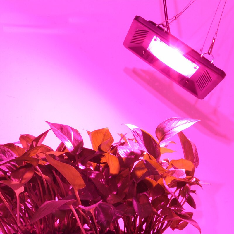 50w 100w cob led kasvaa valo täyden spektrin led kasvaa lamppu kasvis kukka sisätiloissa hydroponic kasvihuoneen kasvihuonevalo