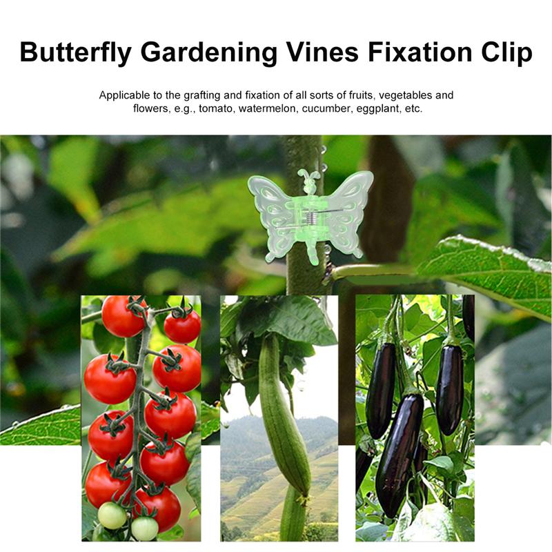 30 stk. sommerfugl orkide podning klip haven blomster vin faste klemmer havearbejde bonsai klips plante støtte klips