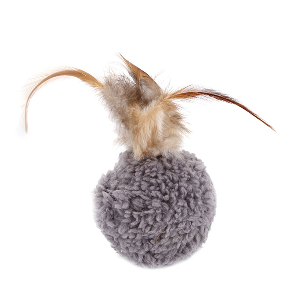 Grappig Huisdier Speelgoed Bal Veer Mint Speelgoed Kat Teaser Spelen Bal Interactieve Training Speelgoed LBShipping