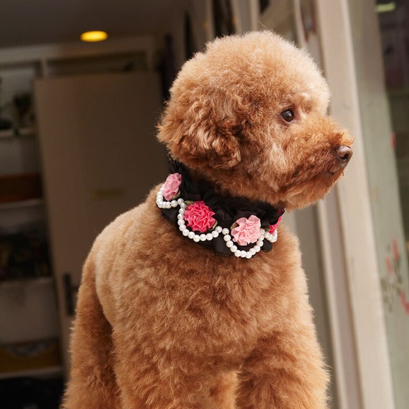 Pets Supplies Lace Pearl Decoration Cute Bichon Frise Teddy Puppy Dog Cat Collars Handmade Flowers For Kitten Pet Accessories