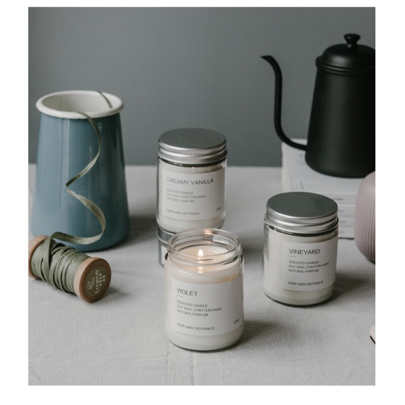 Contenedor de fabricación de velas de aromaterapia artesanal, vela de aromaterapia casera, tarro de vela blanca, taza de vela de nicho, frasco de vidrio, Cactus