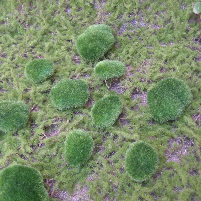 10Pcs Moss Balls Decorative Stone Artificial Simulation Garden Vase Filler