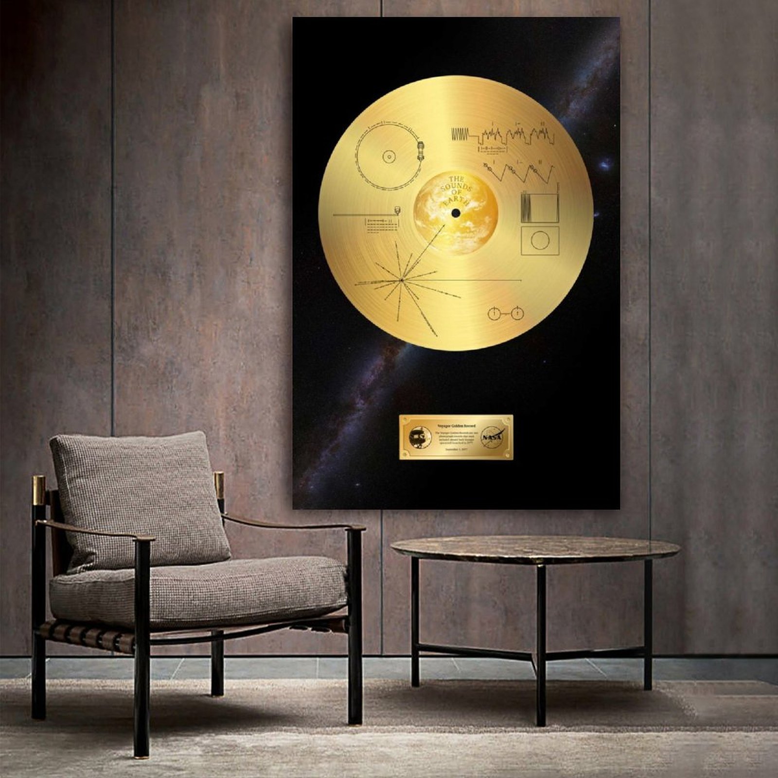Voyager 1 Golden Record Print Op Canvas Schilderij Wall Art Voor Woonkamer Home Decor Jongen