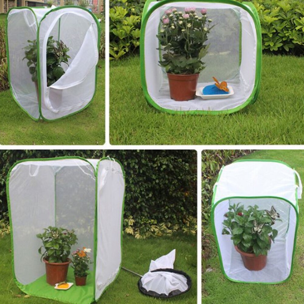 Butterfly Garden Insect Cage Folding Insect Mesh Cage Terrarium Cage Novelty Feeding System For Home Supplies B