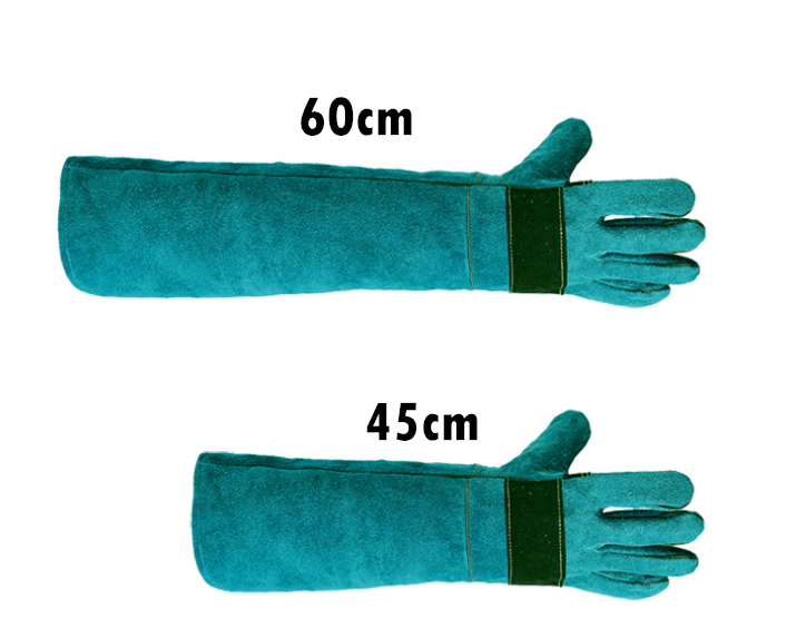 Puremisen esto purentakäsineet koiralle kissa matelija pitkä nahka lemmikit tarttuminen pureminen suojakäsineet puutarhanhoito työ junakäsineet: 60cm / Vihreä