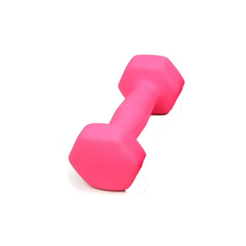 Dumbbells Set - 1kg Paar - Spuitverf Afwerking - Home Fitness Gewichtheffen