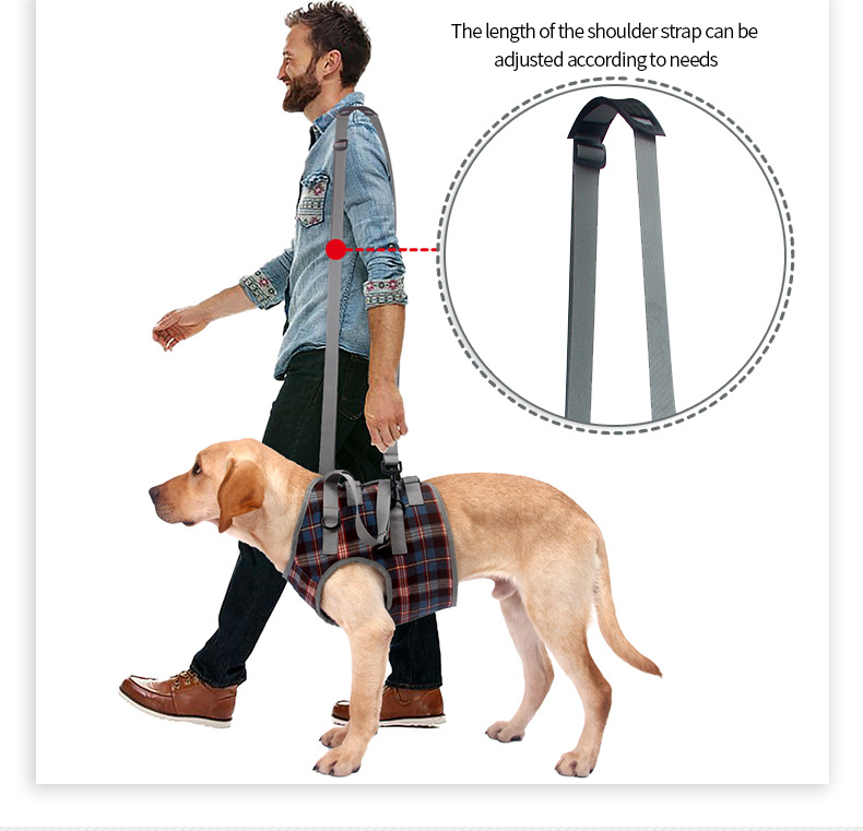 Einstellbare Hund Unterstützung Weste Harness für Zurück Beine für Medium Large Hund Alte Behinderte Joint Verletzungen Arthritis Lähmung Hunde Spaziergang