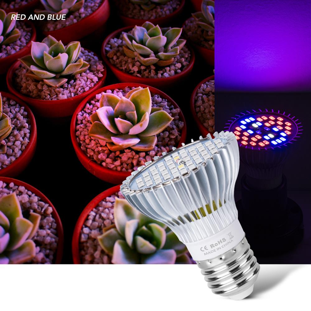 Volledige Spectrum E27 Led Grow Light E14 Kamerplanten Groeien Led Lamp 18W 28W 30W 50W 80W Led Phyto Lamp 220V Greenhouse Verlichting