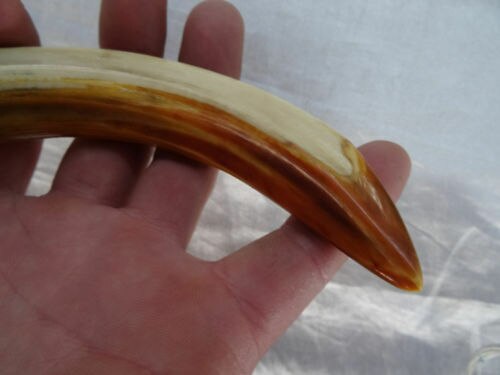 Kinesisk tibetansk sølv lille løvehoved gris tand talisman vedhæng udsøgte små statuer