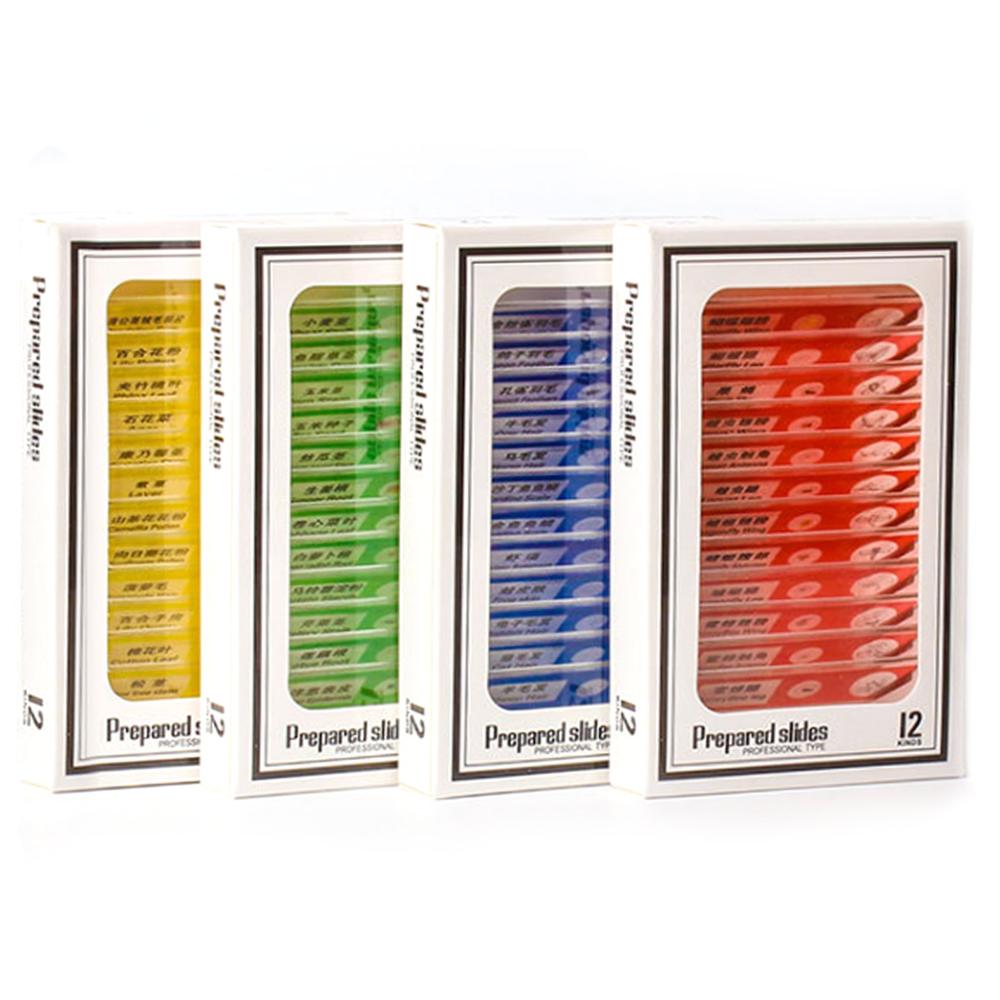 ANENG 1200X Refined Biological Microscope Kit Lab LED Home School Science Educational For Kids Child Lab Optical Instruments: Orange