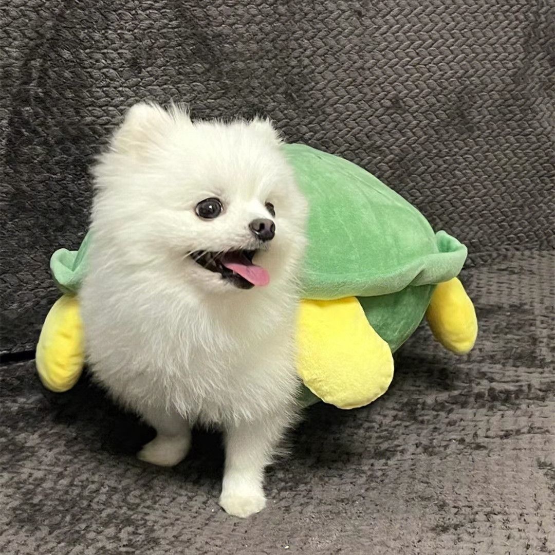 Hund Schildkröte Muschel Kleidung Haustier Herbst und Winter kleiner Hund trägt Teddy Böhmen Höhen Koki Schildkröte Kleidung Halloween Haustier Kostüm