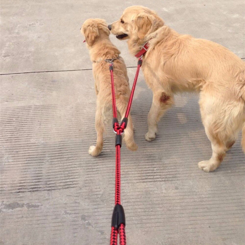 Nylon Band Zwei Hund Für Leine Ein ziehen Geflochtene Verwicklung Für gehen Ausbildung Einstellbare Größe Haustier Sicherheit Traktion Seil
