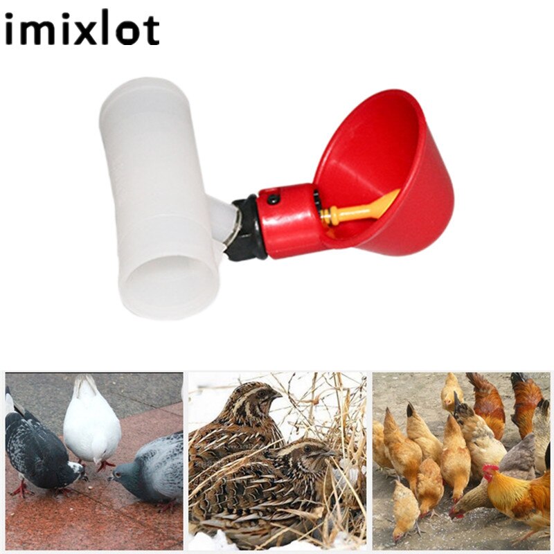 Imixlot ptak automatyczne poidełko miska przepiórka podajnik dla drobiu ptactwo robić klatki na ptaki zwierząt automat robić wody narzędzia robić hodowli