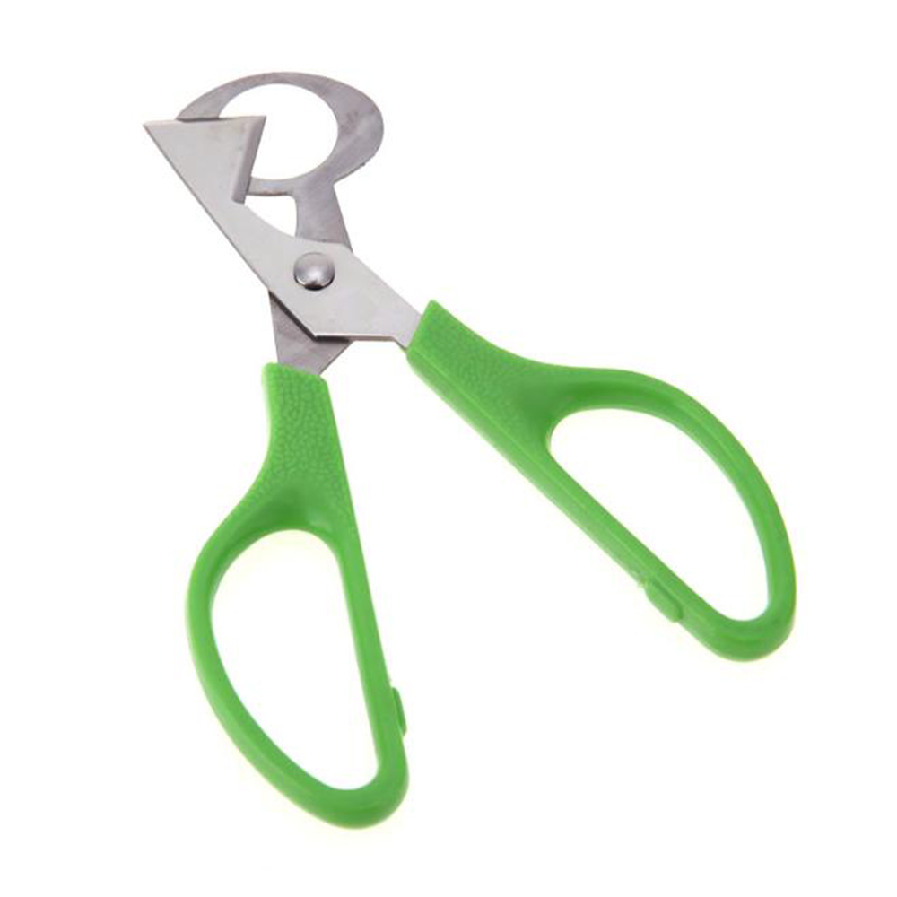 Kwarteleitje Schaar Vogel Cutter Opener Keuken Tool Clipper Schelpen Schaar Cracker Sigaar Rvs Cutter Keuken Tool: Default Title