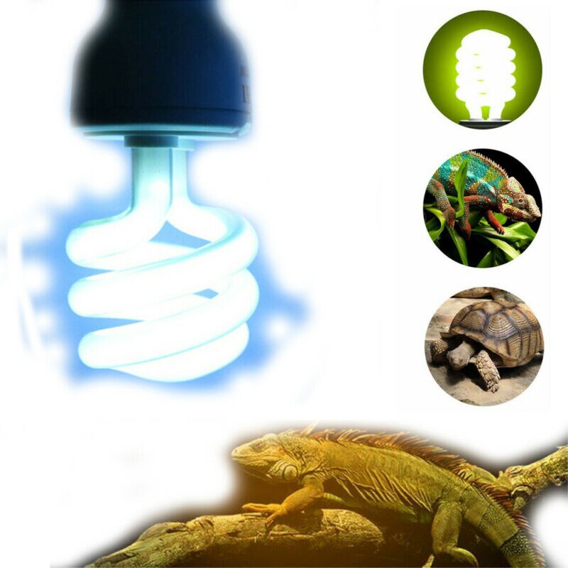 Lampe UV Reptile Pet 13/26W | Éclairage d'habitat, ampoule UVB 5.0/10.0 pour Terrarium de Lizard