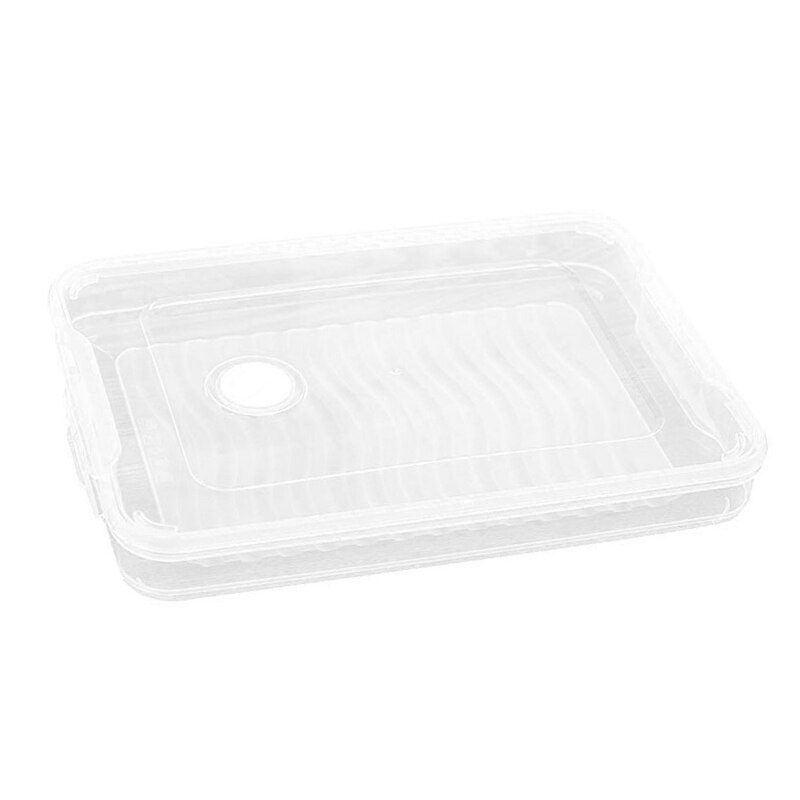 Cajas de albóndigas de una sola capa tipo de hogar bandeja de almacenamiento de alimentos caja contenedor para mantener fresco refrigerador cajas de almacenamiento de albóndigas congeladas: Transparente