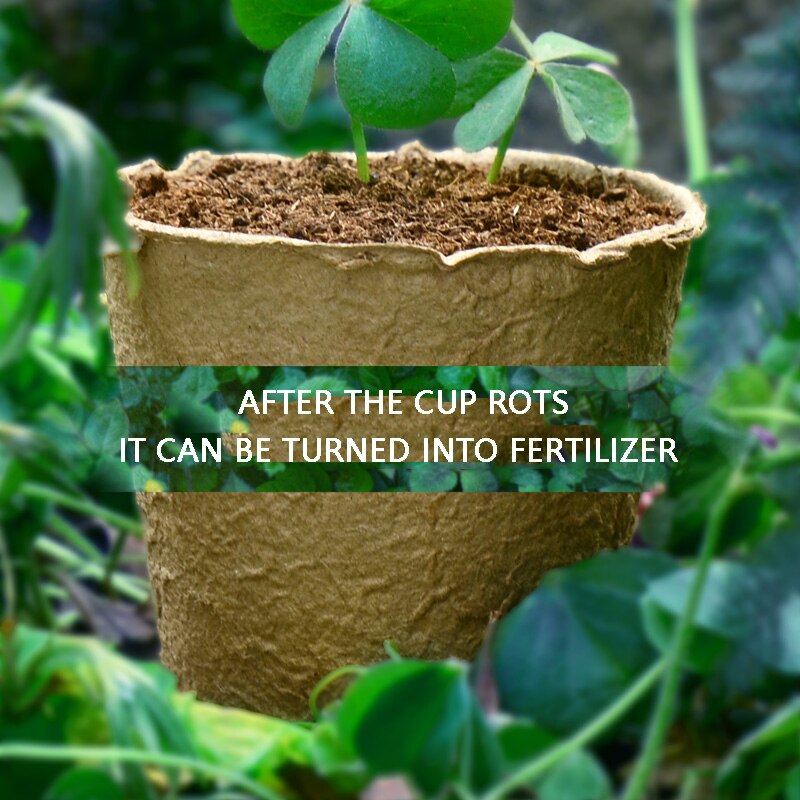 Pulp Nursery Cup 8cm Round Pulp Cup and Biodegradable