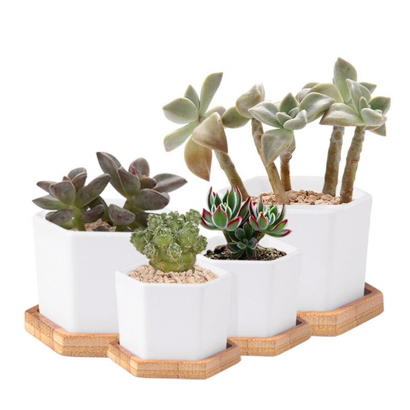 Bols en bambou naturel assiettes pour plantes succulentes Pots plateaux Base Stander décor de jardin décoration de la maison rond carré plateau artisanat