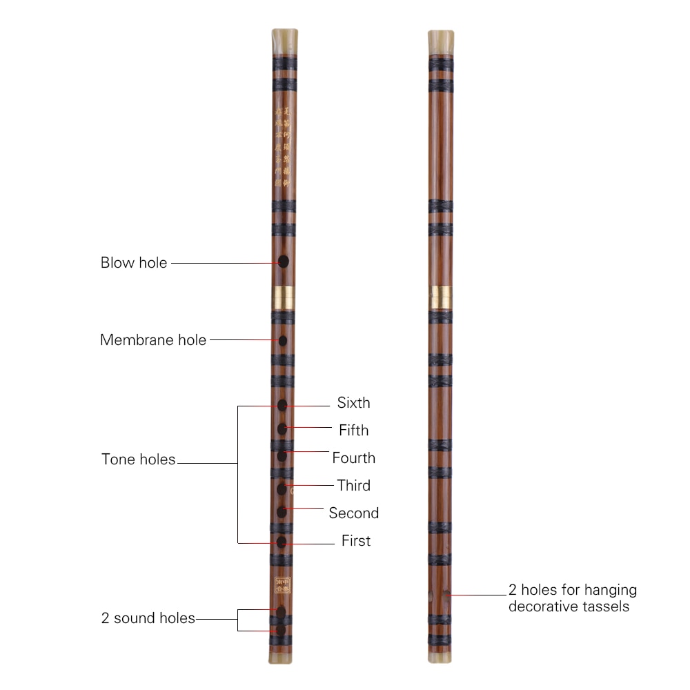 Flauta china tradicional de bambú para principiantes, instrumento Musical de , Dizi, llave C D G enchufable, bambú amargado,