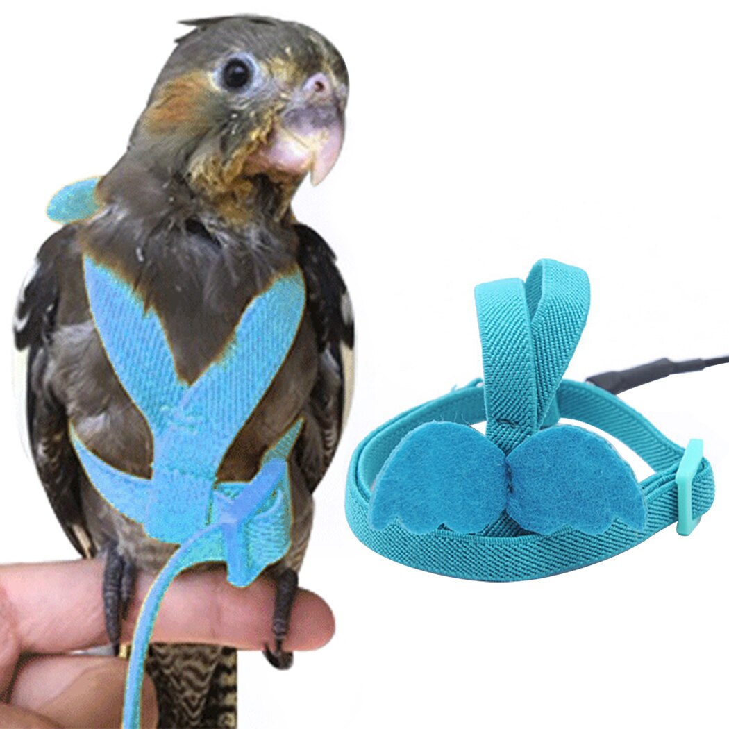 Ensemble de harnais et laisse pour perroquet, corde d'entraînement en vol en plein air réglable avec aile pour petits et moyens oiseaux, perruche de calopsitte: 4