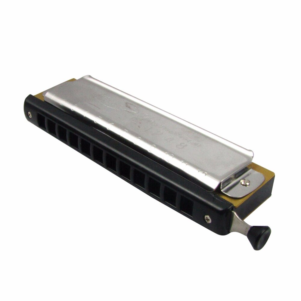 ! 12 Holes 48 Tone C Key Chromatic Harmonica Chromonica Chrome Harmonica Mouth Organ