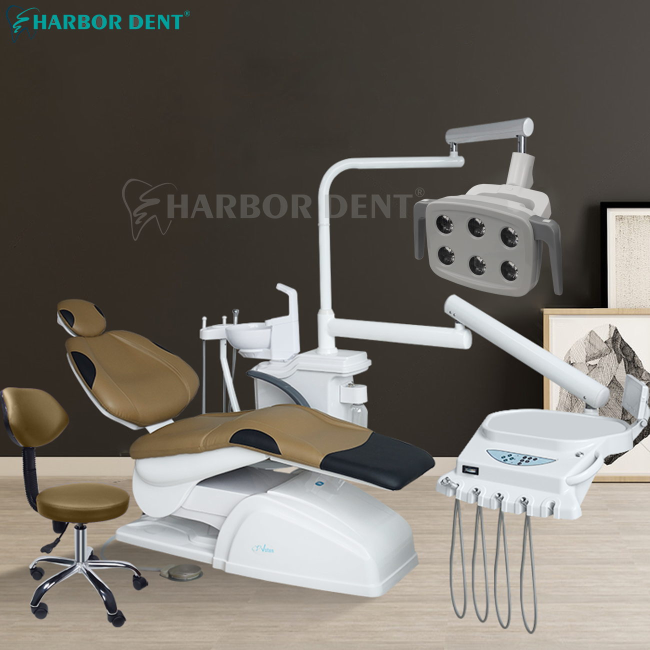 Tandheelkundige Inductie Licht Operatie Lamp Tandarts 6led Orale Lamp Voor Tandheelkunde Unit Stoel Apparatuur Tanden Whitening Oral Tool Ac12 V