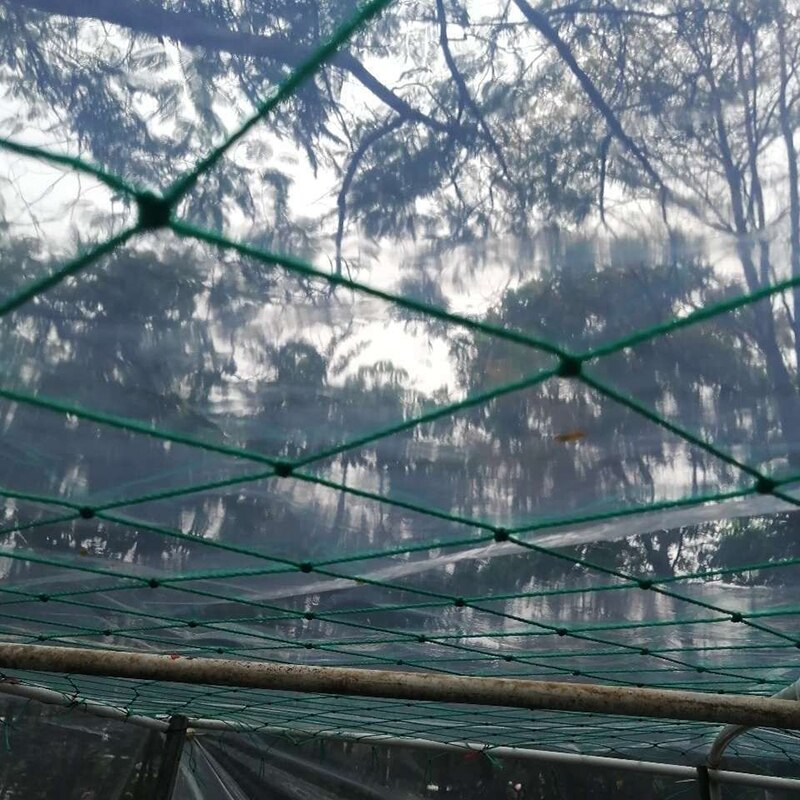 24 Strands Square Hole Plant Climbing Net Square Hole Garden plant Shelves Net Vegetable Flower Net Garden Weaving Grow Frame