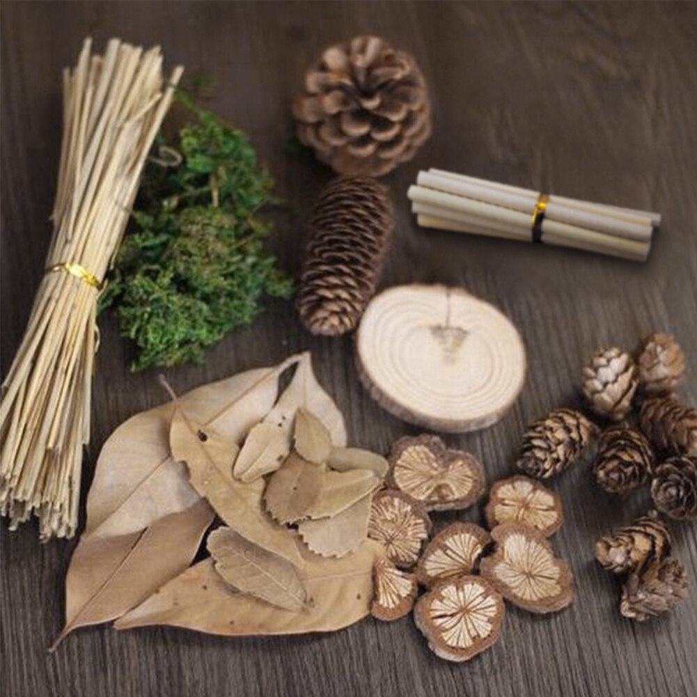 10pcs Natural Plants Pine Cones ins Photography Props Wood Chips Larch Background Accessories for Photo Studio Home Decoration