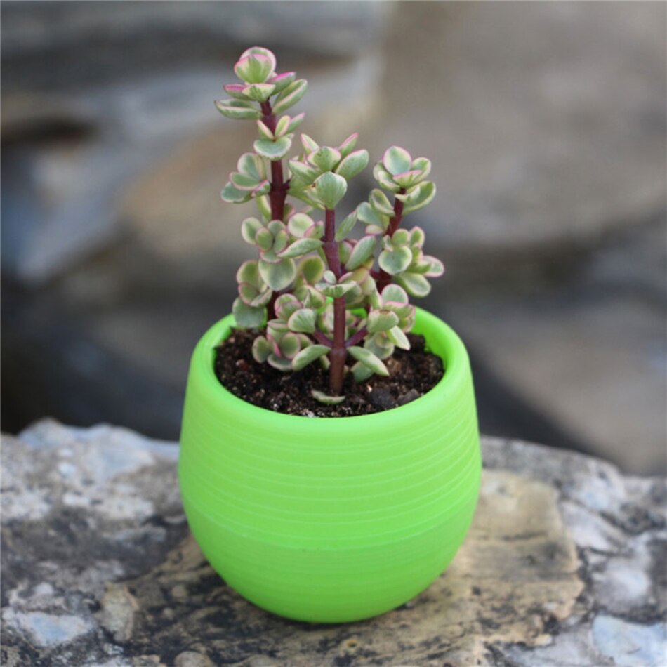 7*7Cm Bloempotten Mini Bloempot Tuin Onbreekbaar Plastic Kwekerij Potten Voor Succulenten Plastic Kleine Bloem pot