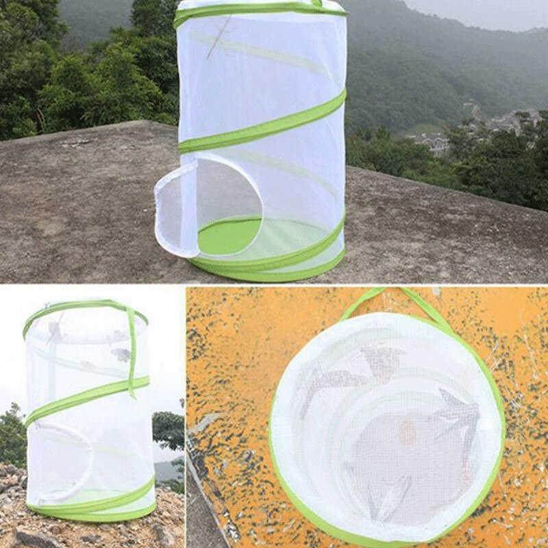 Praying Mantis Stick Insect Cage Butterfly Breed Feeding Housing Enclosure