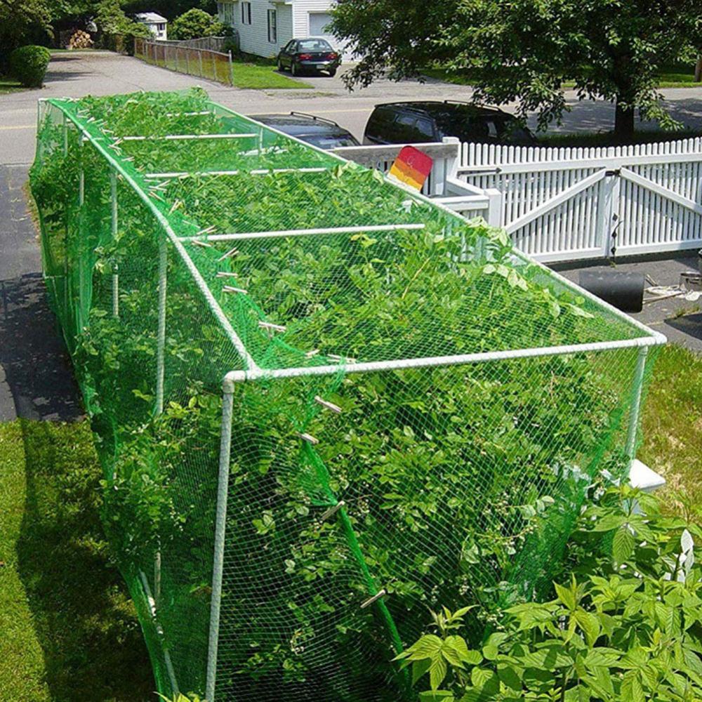 Protection Net 2x5/2x10/4x10m Pond Garden Orchard Tree Fruit Vegetable Mesh Protection Net