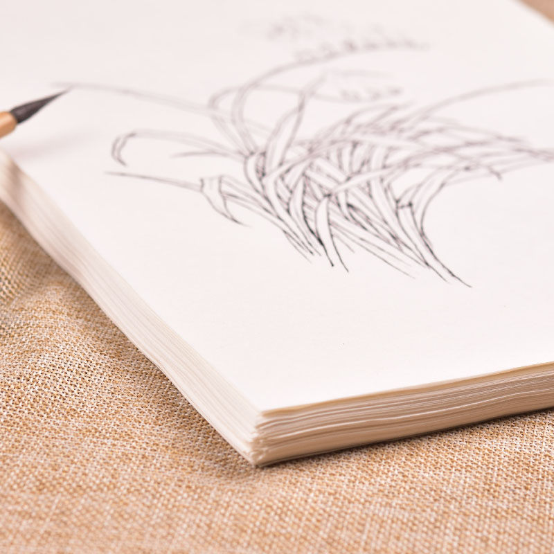 Papier de traçage de ligne de fleur, branche d&#39;arbre chinois, fleurs, peinture de manuscrit, cahier de dessin, peinture aquarelle chinoise