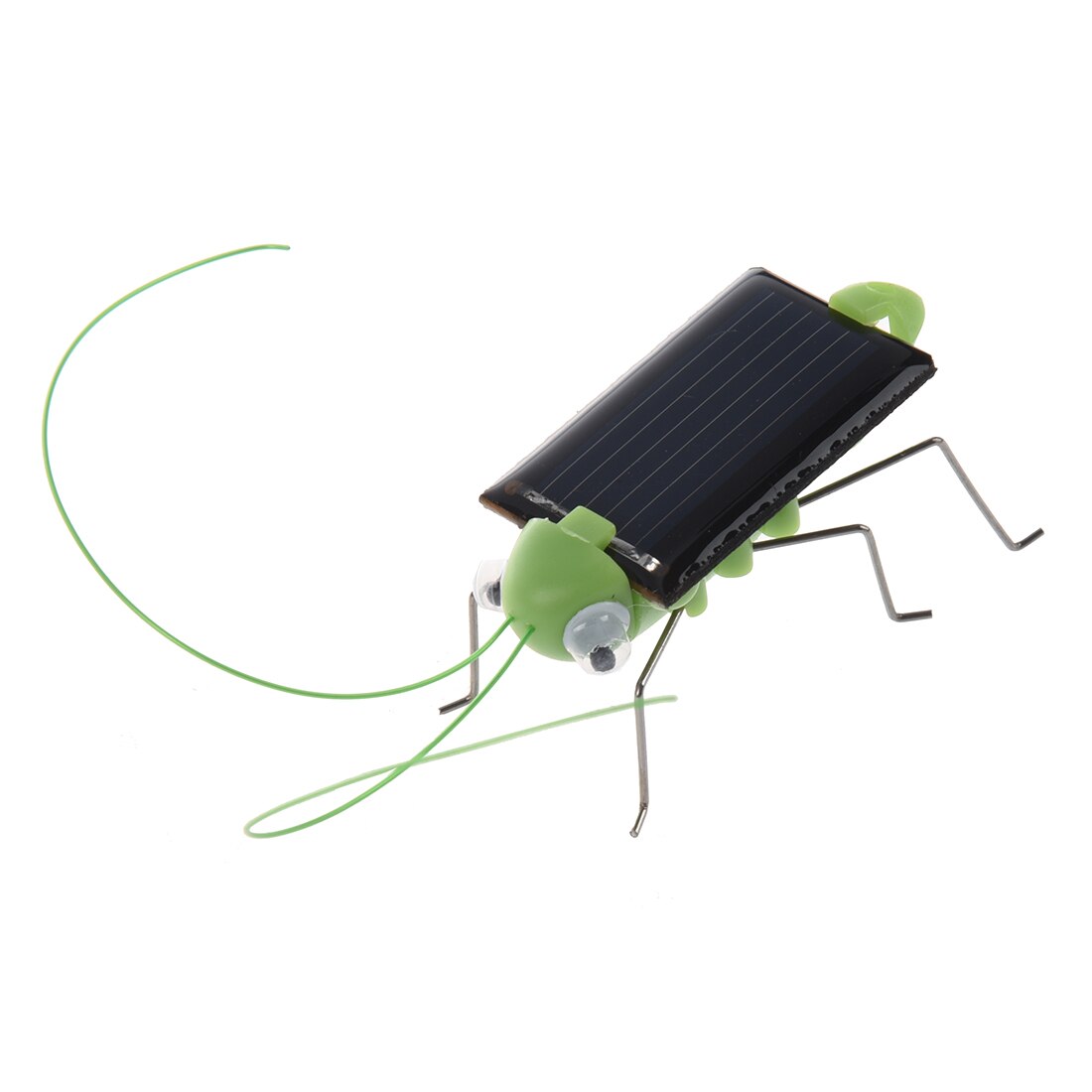 Zonne-energie Grasshopper. Gewoon Plaats In De Zon En Horloge Het Benen Schudden En Wiggle