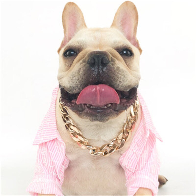 36 + 7cm Edelstahl Haustier Hund Gold Kette Kubanischen Verknüpfung Dicken Goldenen Kette Hund Katze Haustiere Sicherheit kragen Haustier Hunde Zubehör