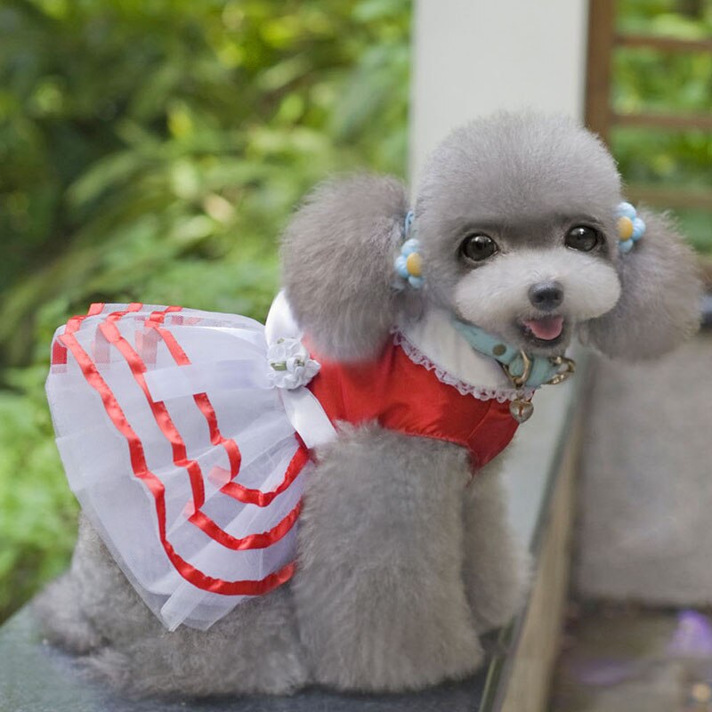 Jupe princesse pour chien, vêtement pour animaux de compagnie, rouge uni, avec nœud ruban en Polyester, robes chics pour filles, printemps/été: Rouge / L