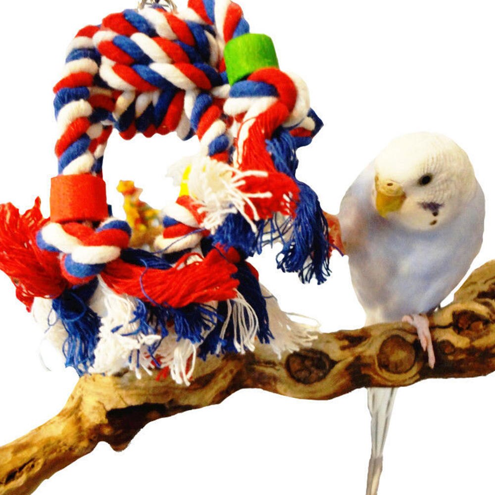 Cacatúa de colores para mascotas, juguete para morder para pájaros, jaula duradera para loros, juguetes para morder, soporte para mascotas, accesorios de entrenamiento, herramienta