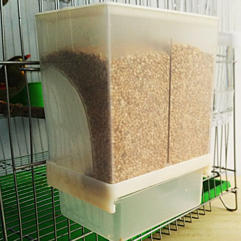 Automatisk fuglefoder fjerkræ fodringsværktøj foder madbeholder stænktæt opbevaring til duer papegøje kylling