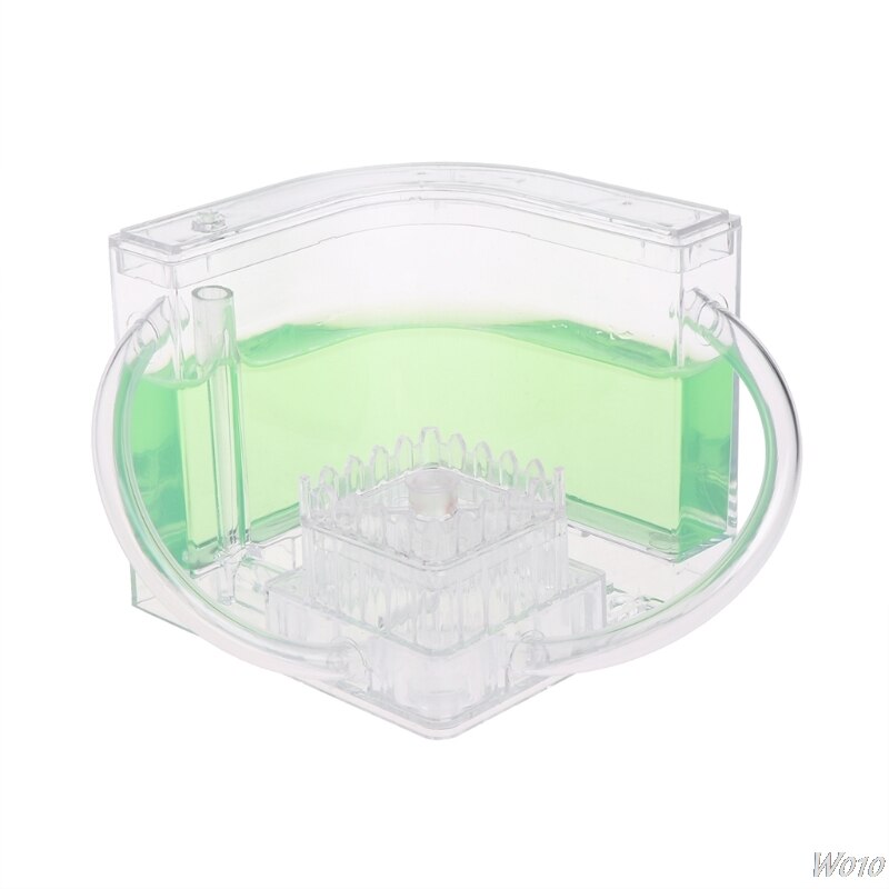 3D Ant Farm Educational Maze Live Feeding System Ants Habitat World Pet Villa: Green