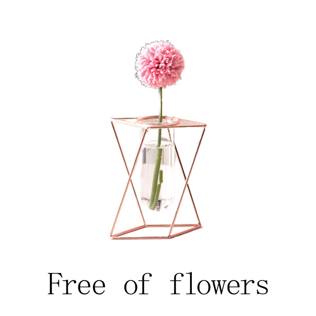 Nordisk stil glass blomsterpotte jern kunst vase rose gull hengende prøverør blomstervaser hjemmekontor dekorasjon skrivebord blomsterpotter: Kort gull