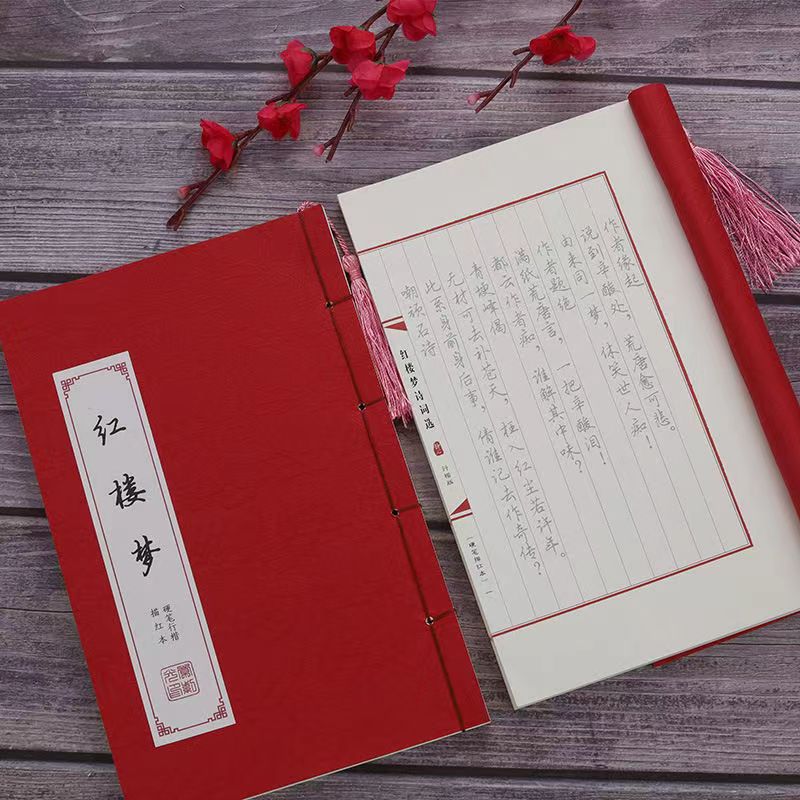 Hard Pen Diamond Sutra Calligraphy Practice Small Running Regular Script Chinese Calligraphy Copybook Fountain Pen Copybook