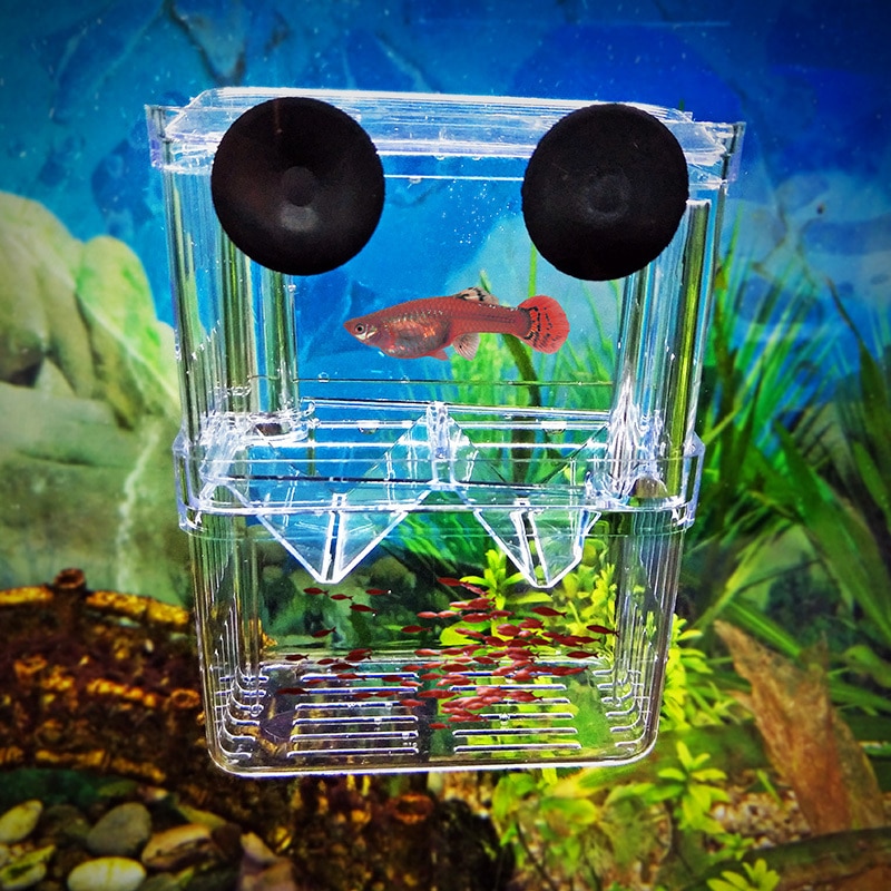 Acryl Klar Suspension Fisch Zucht Isolation Kasten Züchter Doppel Schicht Fisch Panzer Braten Schlüpfen Inkubator Aquarium Zubehör