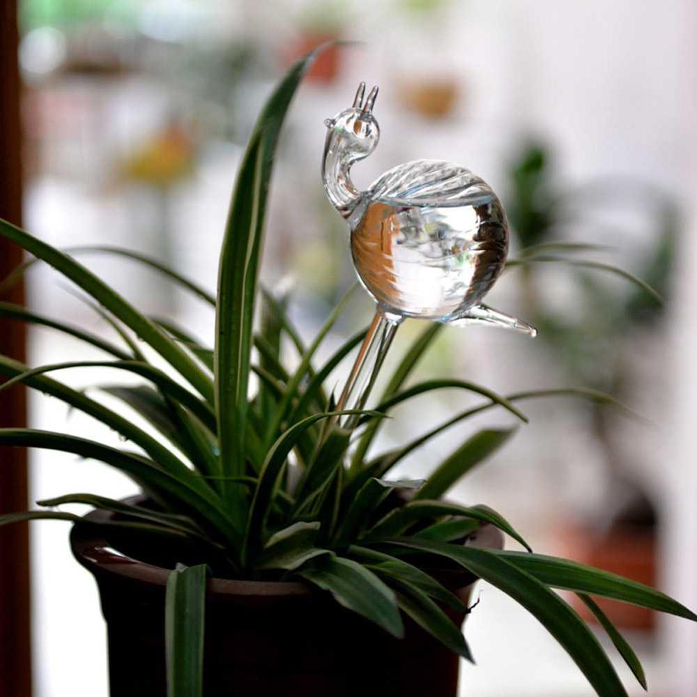 12 stilarter hus / have husplante automatisk selvvandingsglas fugl vandkande blomster planter dekorativ glasvanding: B
