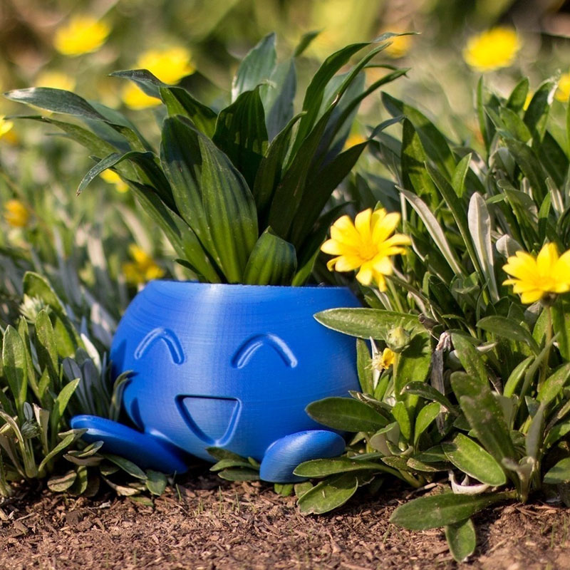 Maceta Oddish, maceta Oddish, maceta suculenta, macetero