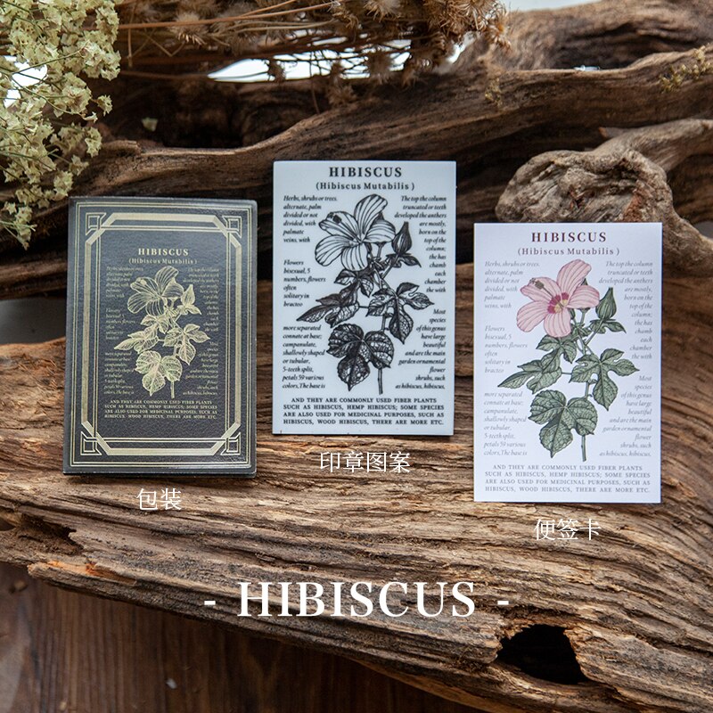 Vintage plante fleurs papillon libellule décoration timbre éponge caoutchouc timbres pour Scrapbooking papeterie artisanat Standard timbre: HIBISCUS