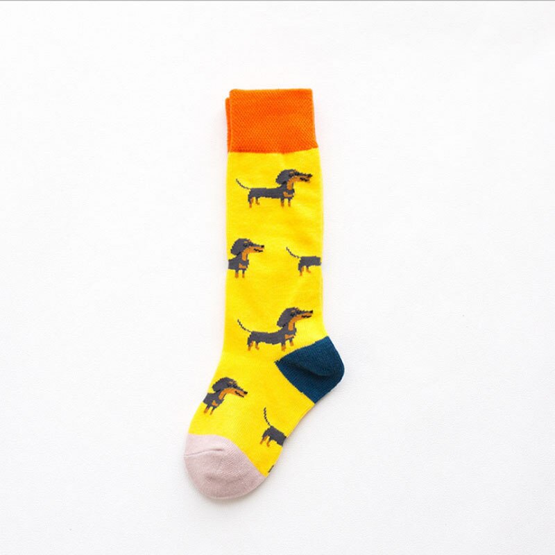 Chaussettes pour enfants | Hautes, longues, souples, en coton, pour bébés garçons: 5 / 2-3year