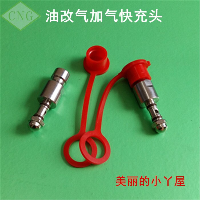 CNG Refuel Valve Filler Valve Methane NGV1 Filling Nozzle